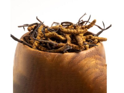 यार्सागुम्बा [Cordyceps] Grade A/Pcs