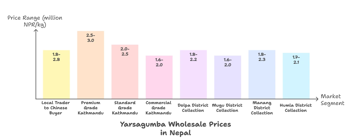 wholesale price of yarsagumba 