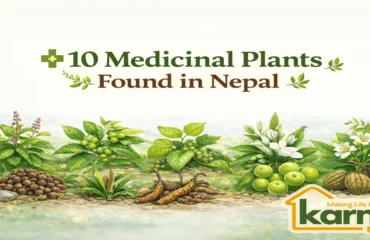 Karnali Mart | Buy 100% Organic Nepali Fruits, Grains, Pulses & Handicrafts